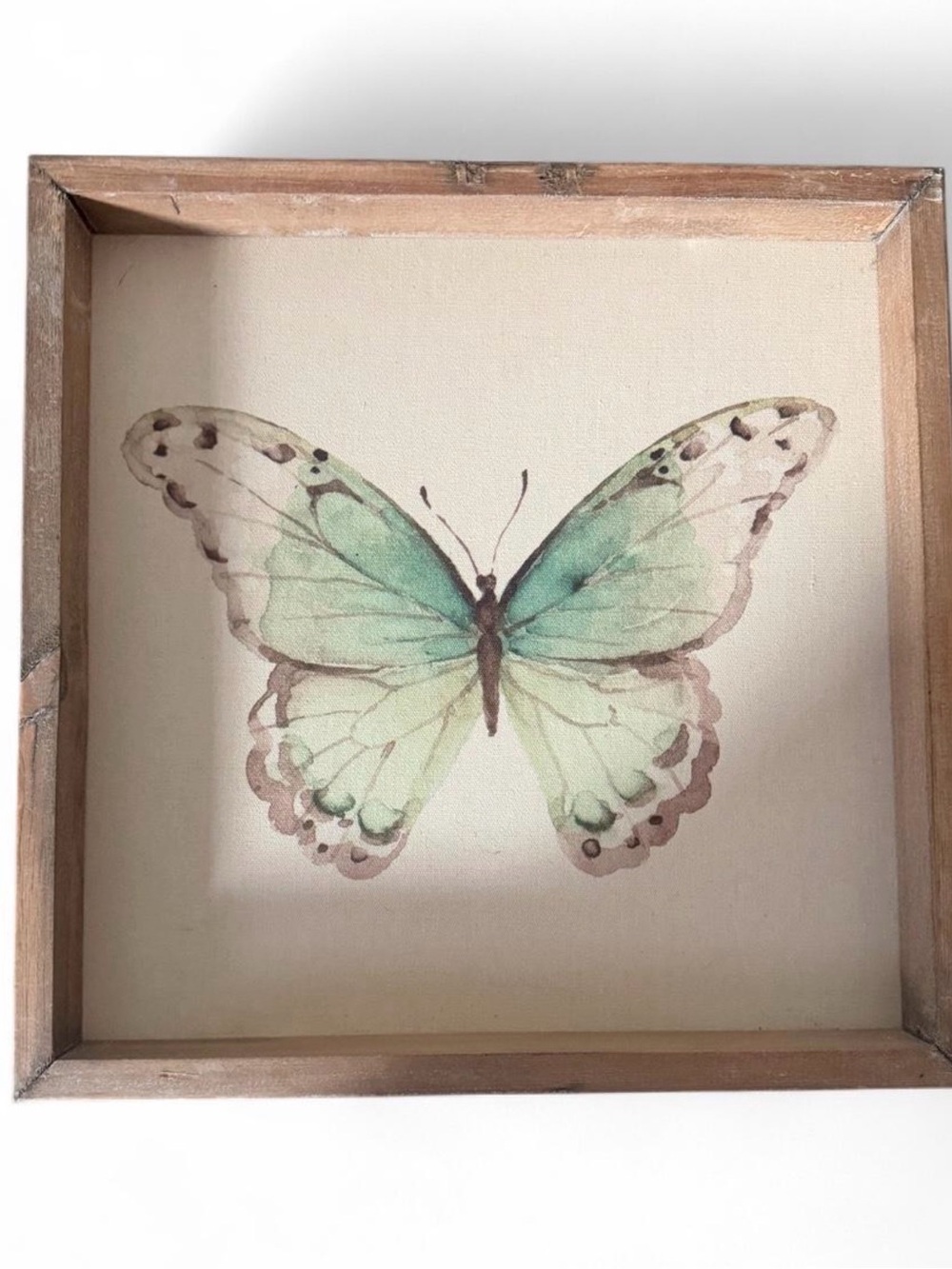 Framed Butterfly Wall Art in Mint Green and Tan